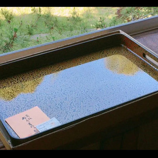 お盆　【高級新津軽塗り漆器】