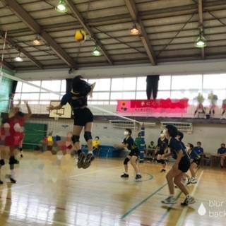 小学生女子バレーボールチームメンバー募集の画像
