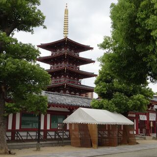 10月3日　四天王寺 秋の大古本祭り　同行者募集
