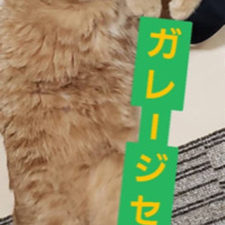 ガレージセール開催します🎵（イメージキャラクター/ちゃとらん）