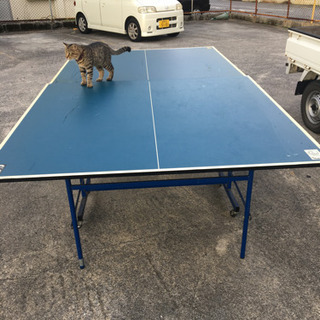 卓球台の画像