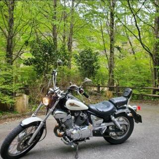 (商談中)限定値下げ　ヤマハ　ビラーゴ250　250cc バイクです