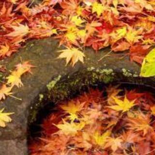 9/26土曜日【早めの】登山【紅葉？】
