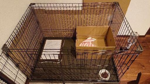 犬用ケージ 使用期間10日