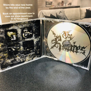 ザ・レイビーズ The Sorrow Is Deep Above Allの画像