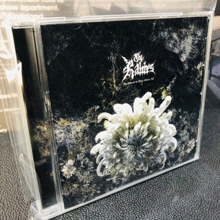 ザ・レイビーズ The Sorrow Is Deep Above...