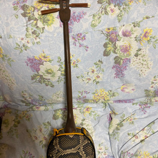 琉球実入りゆし木 三線