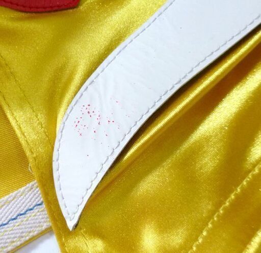 直筆サイン入★本物 新日本プロレス マスク キャプテン・ニュージャパン イエロー　平澤光秀 ヒデオ・サイトー BONE SOLDIER ボーンソルジャー 親日  ☆ PayPay(ペイペイ)決済可能 ☆ 札幌市 豊平区 平岸 アウトレットモノハウス