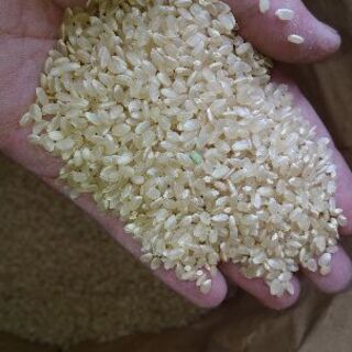 令和2年　広島県産コシヒカリ玄米30kg、たくさんのご注文ありがとうございました。の画像