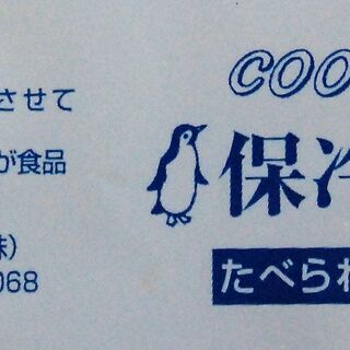 ☆彡 保冷剤 3200g（400g×8個）菅原冷蔵の COOL ICE ペンギン印 ☆彡の画像