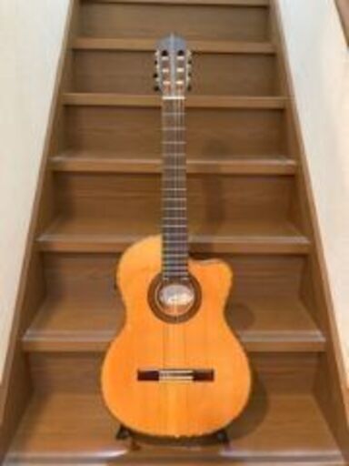 エレガットギター売ります。