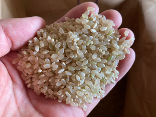 新米てんこもり、30kg7000円