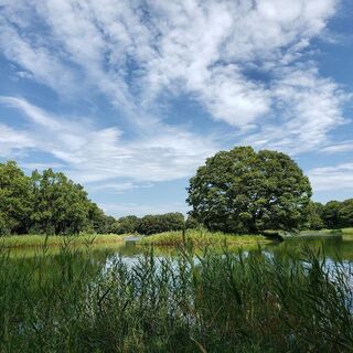 公園散歩しながら国際交流