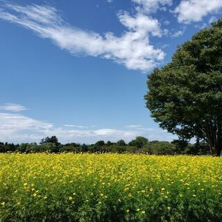 公園散歩しながら国際交流 - 友達