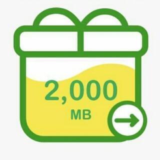 mineoパケット 2G(2000MB)