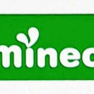 mineoパケット 2G(2000MB)の画像