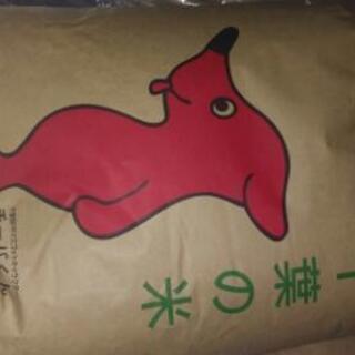 千葉県君津産　コシヒカリ　玄米30kg　