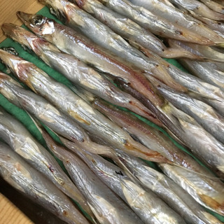 お待たせしました‼️キス丸干し　1箱 1kg 1400円✨ 工場まで取りに来てくださる方限定の価格です‼️ - 松江市