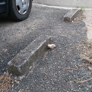 交渉終わりました　アスファルト駐車場のタイヤ止め　２つ除去してほしい - 浜松市