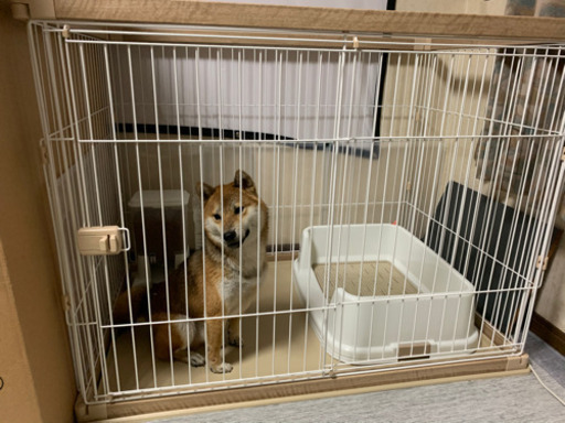 犬用ケージ 室内