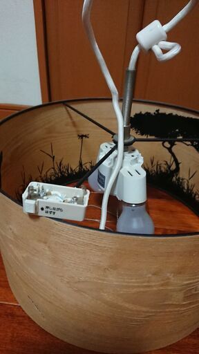 室内電器  サファリ柄