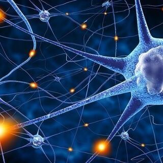 癌は克服できるのか？【細胞で体を科学する！細胞再生インストラクター】