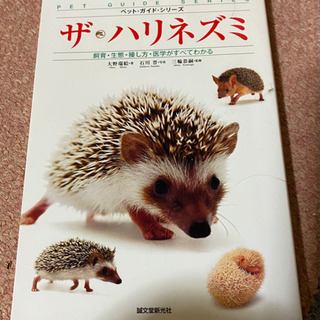 ハリネズミ　飼育　ガイド