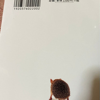 ハリネズミ　飼育　ガイドの画像
