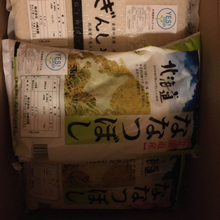 ななつぼし 白米 北海道米 4袋小分け