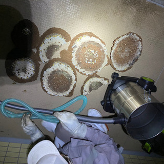 害虫 害獣の駆除　ロードサービス　生活救急サービスの画像