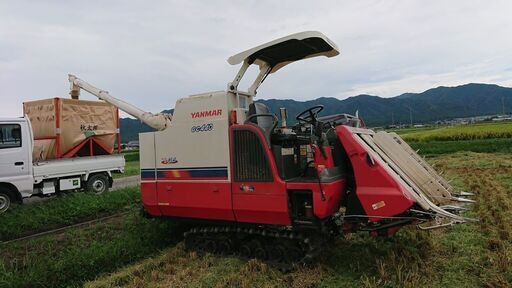 令和２年産キヌヒカリ　残りわずかとなりました