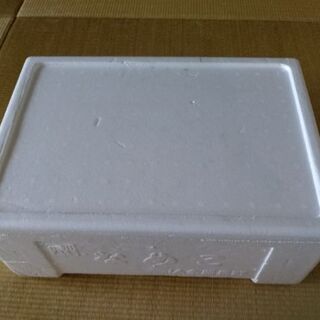 0円 廃棄します. 発泡スチロールの箱