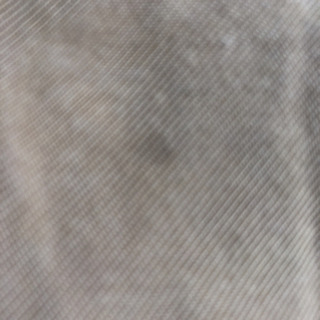 ワイドパンツの画像