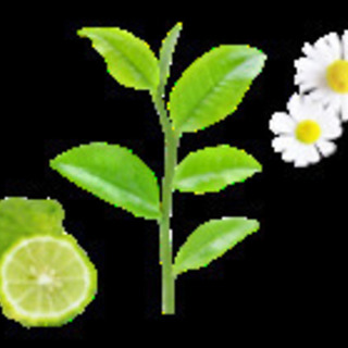 ホーユー　プロマスターカラーケア　カーミーシャンプー＆トリートメントセット600の画像