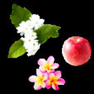 ホーユー　プロマスターカラーケア　リッチ　シャンプー＆トリートメントセット600の画像