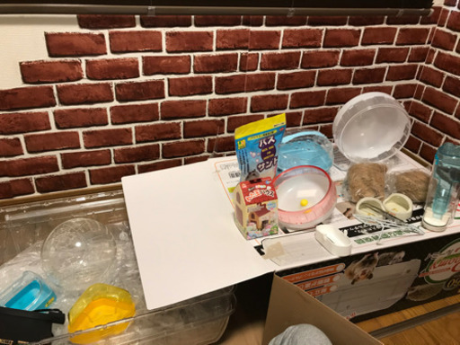 ハムスターケージセット（ルーミィ60）