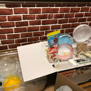 ハムスターケージセット（ルーミィ60）の画像