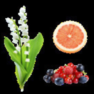 ホーユー　プロマスターカラーケアシャンプー　スウィーティア250ｍｌの画像