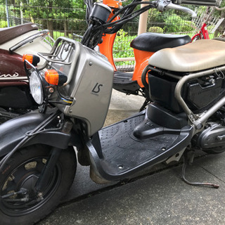 神奈川県のホンダズーマーの中古が安い！激安で譲ります・無料で