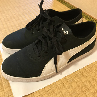 PUMAスニーカー 25.5cm