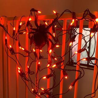 取引中です【0円】ハロウィングッズ　スパイダーライト