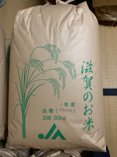 みずかがみ　玄米　令和2年産