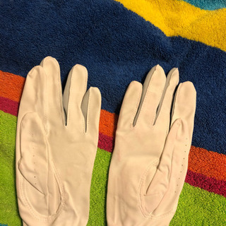 テーラーメイド　グローブとグローブケースの画像