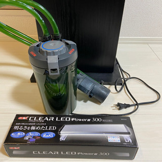 キューブ水槽その他