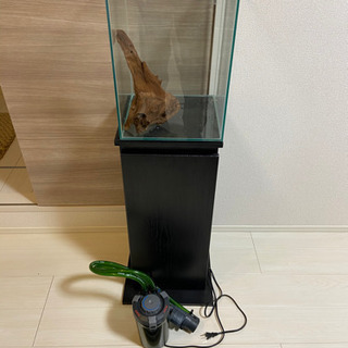 キューブ水槽その他の画像