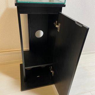 キューブ水槽その他の画像