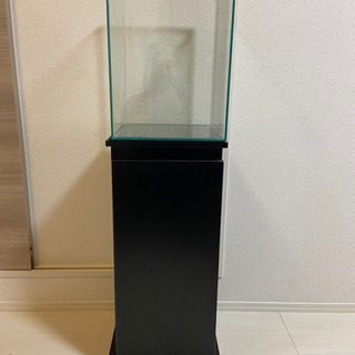 キューブ水槽その他の画像