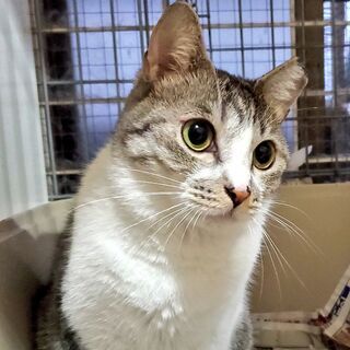 里親さま決定！　僕ちょっと訳あり★ひとりっ子宣言　アウチ　２歳前後
