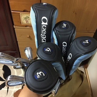 レディース　ゴルフクラブ　セット(商談中)の画像