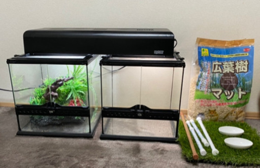 爬虫類飼育セット【バラ売なし】